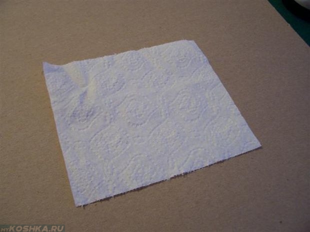 Лист туалетной бумаги смоченной в моче кошки