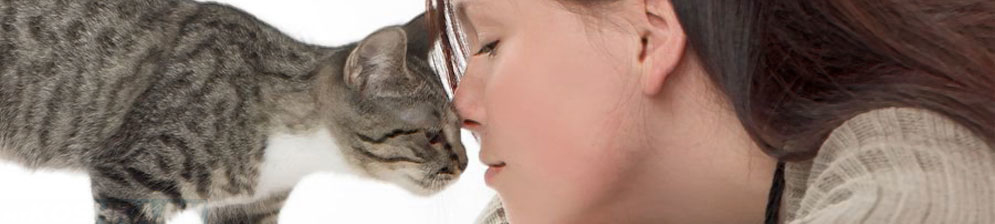 Кошка и человек нос к носу
