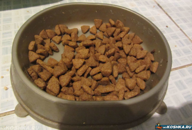 Оптимальное количество еды в кошачьей миске