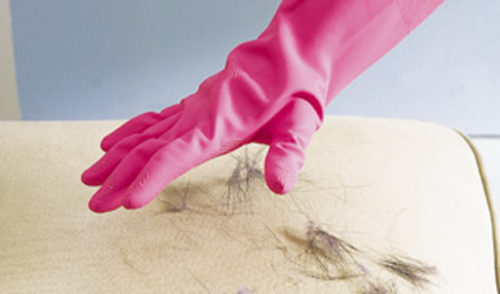 Рука в розовей перчатке чистит диван от шерсти