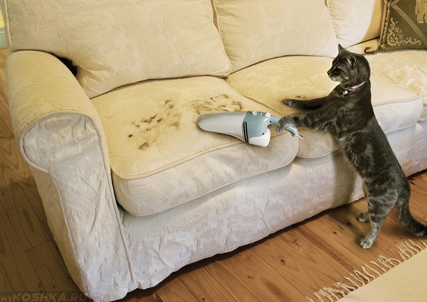 Какая ткань для дивана лучше и практичнее от кошек