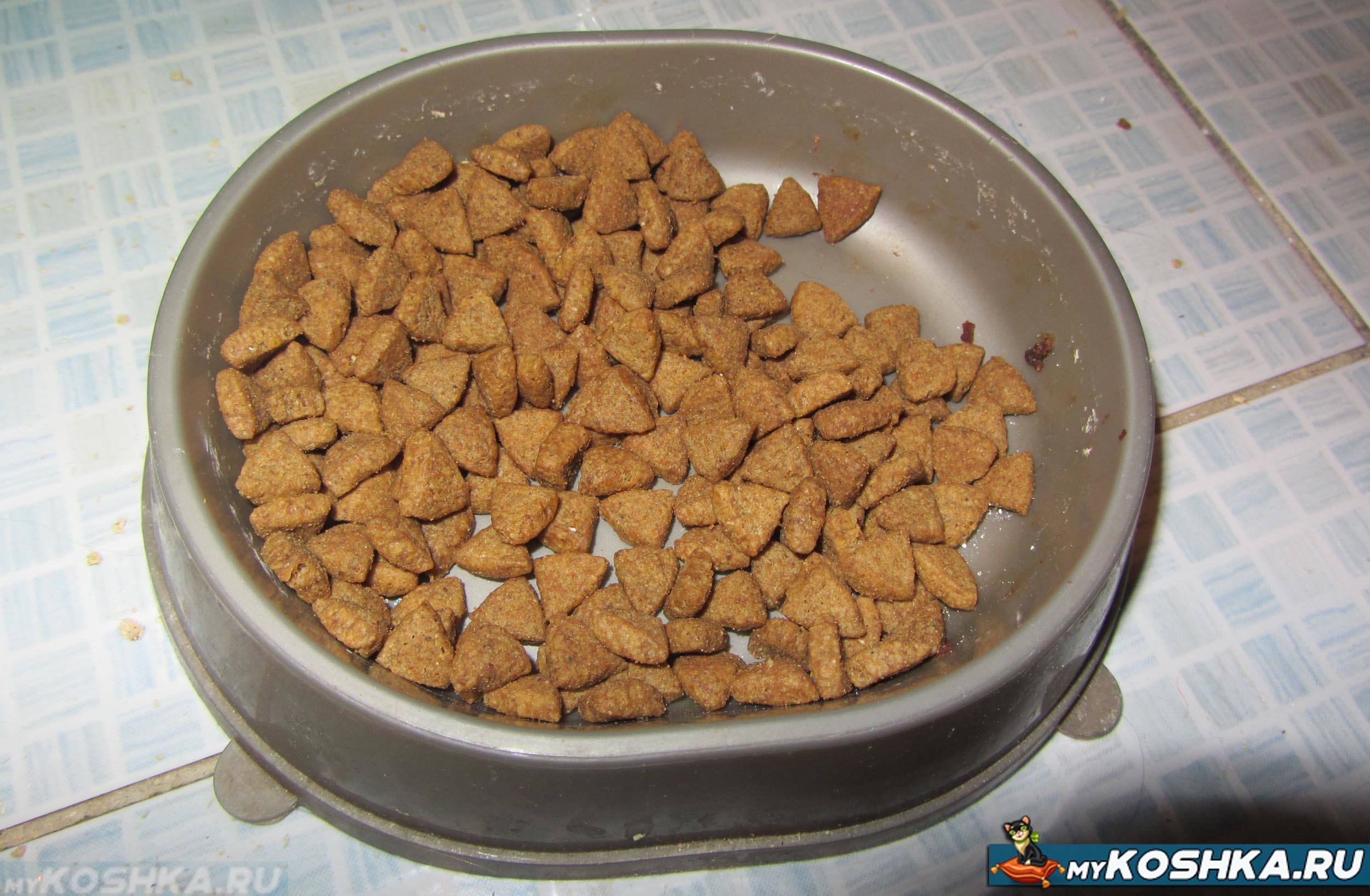 Какой сухой корм для кошек самый лучший по мнению ветеринаров?