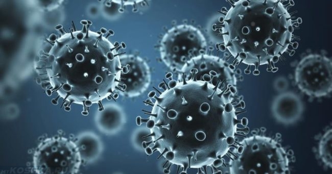 Вирус гриппа увеличенный при помощи микроскопа