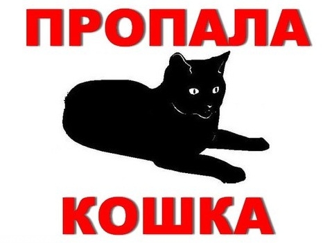 Пропала черная кошка