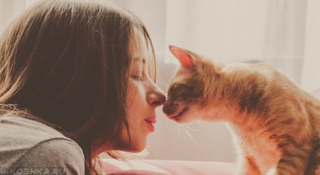 Девушка с русыми волосами касается носом рыжей кошки