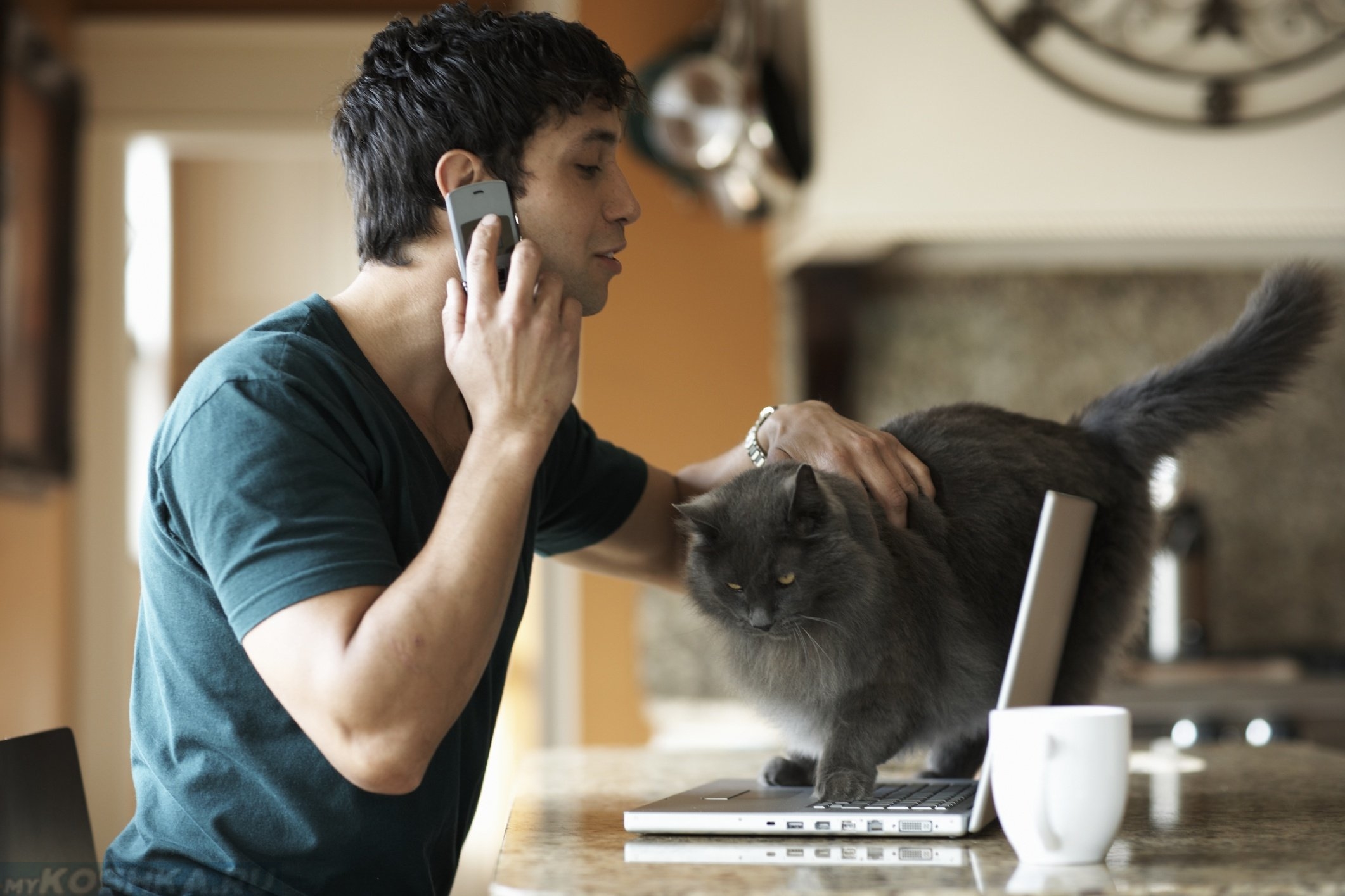 Petting men. Парень с кошкой. Мужчина с котиком. Мужчина гладит кота. Человек играющий с котом.