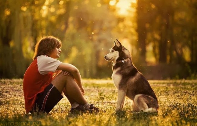 Человек и собака сидящие друг на против друга