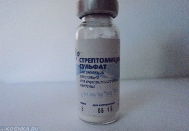 Препарат стрептомицин для инъекций