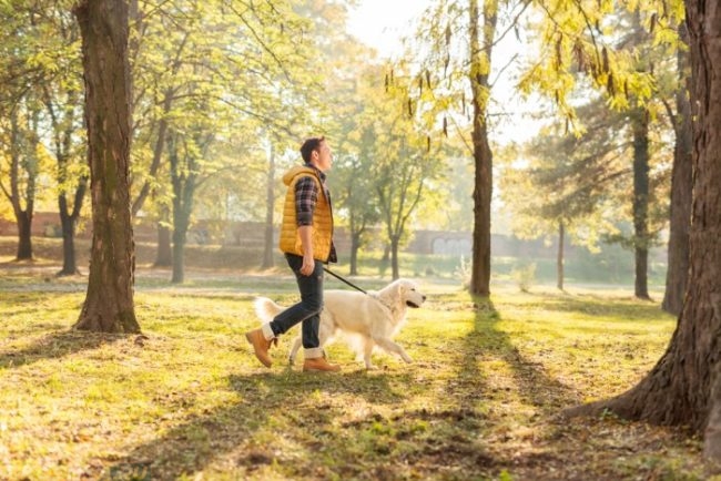 Прогулка с собакой в парке