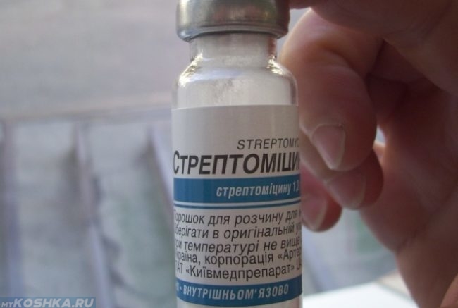 Препарат стрептомицин в баночке
