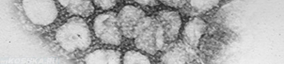 Вирус коронавируса под микроскопом