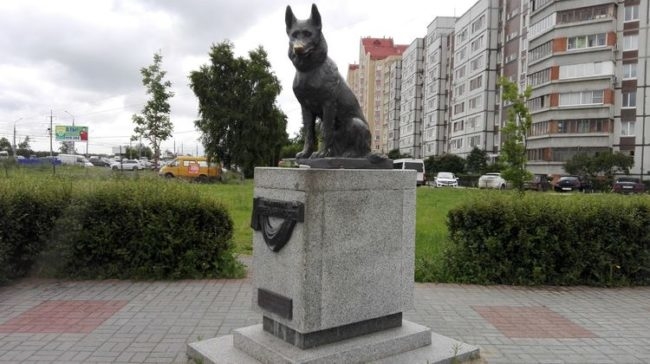 Фото памятника в городе Тольятти, посвященного верности собаки породы немецкая овчарка
