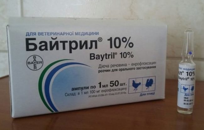 Упаковка с ампулами препарата Байтрил для лечения инфекций у кроликов