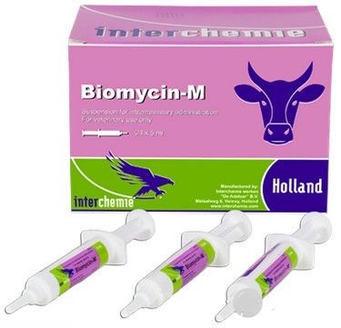 Упаковка и шприцы с препаратом Биомицин для лечения колибактериоза у кроликов